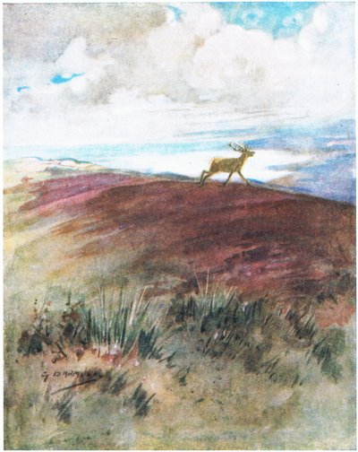 El aire era cercano y pesado mientras bajaba a galope de la cresta (litografía en color) de George Denholm Armour