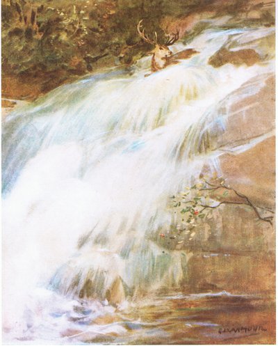 Lanzando la cabeza al aire en un último acto de desafío, se lanzó a la cascada (litografía en color) de George Denholm Armour
