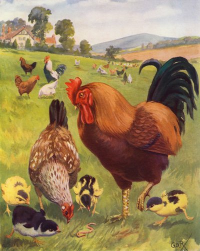 Robert, el gallo, está muy orgulloso (litografía en color) de George Derville (after) Rowlandson