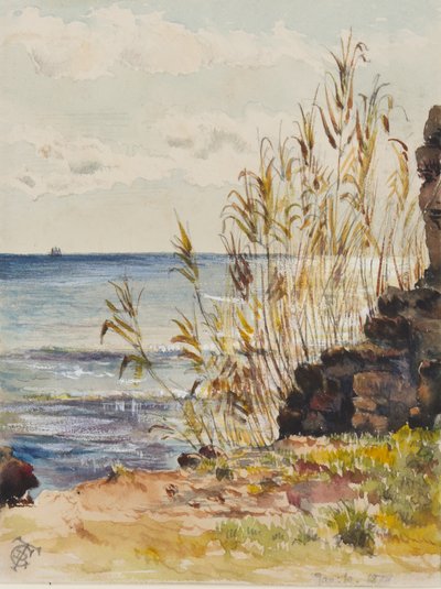 En San Remo mirando sobre el Mediterráneo, 10 de enero de 1878 de George Douglas Tinling