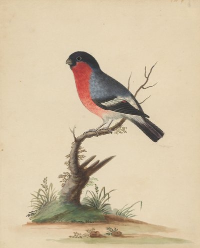  de George Edwards