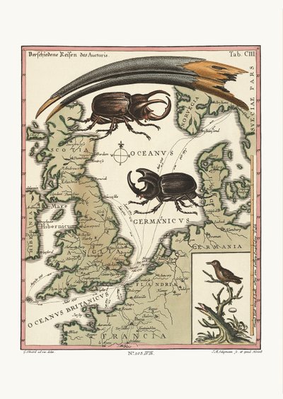 El pico del Ibis egipcio y el colibrí más pequeño, 1749-73 de George Edwards