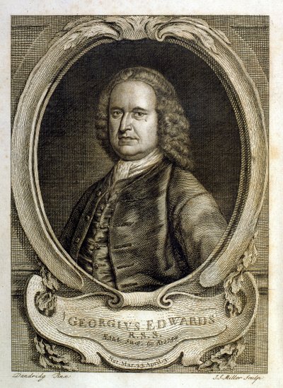  de George Edwards