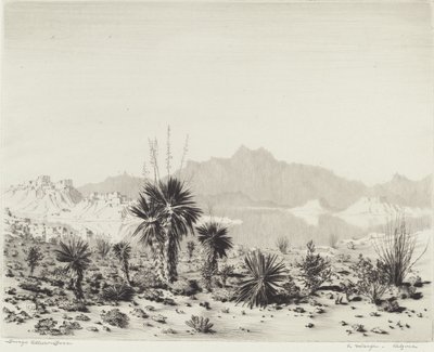 Un espejismo, Arizona de George Elbert Burr