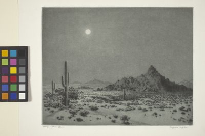 Noche de Arizona de George Elbert Burr