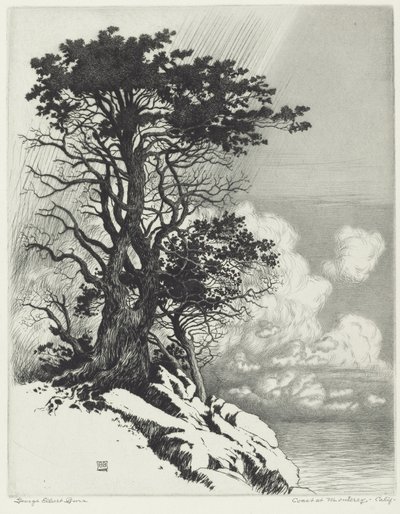 Costa en Monterey, California de George Elbert Burr