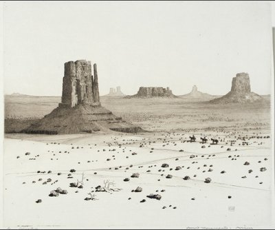 Monumentos del desierto, Arizona de George Elbert Burr