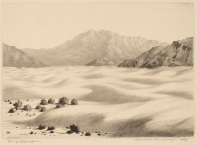 Dunas cerca de Palm Springs, California (n.º 2) de George Elbert Burr