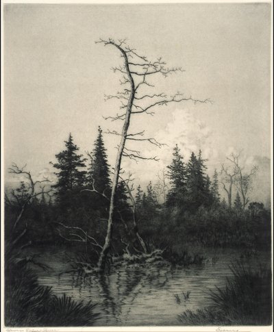 Por la noche de George Elbert Burr