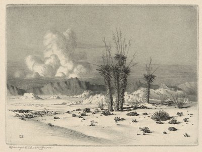 Tarde, Arizona de George Elbert Burr
