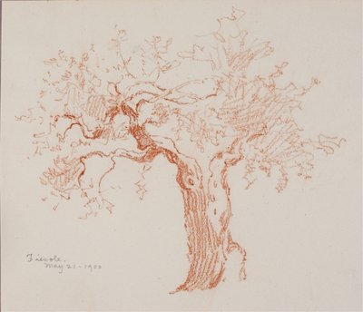 Fiesole de George Elbert Burr