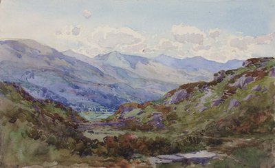 Desde arriba de Pont-y-Pant de George Elbert Burr