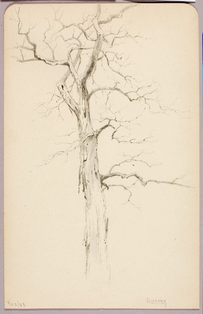 Hickory de George Elbert Burr