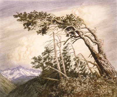 Hogar de los vientos [nº 2] de George Elbert Burr