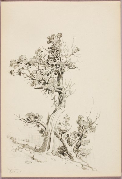 Manitou de George Elbert Burr