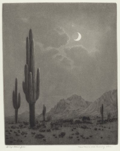 Luna nueva y estrella vespertina de George Elbert Burr