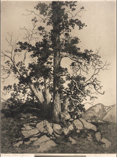  de George Elbert Burr