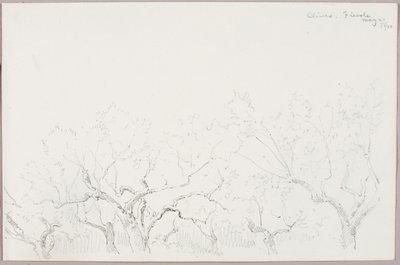 Aceitunas--Fiesole de George Elbert Burr