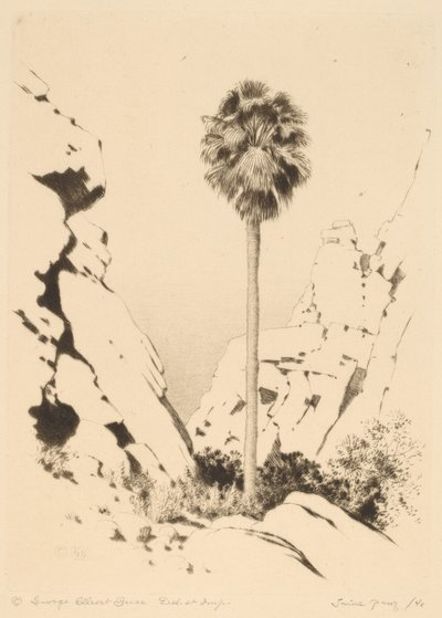Cañón de palmeras (n.º 1) de George Elbert Burr