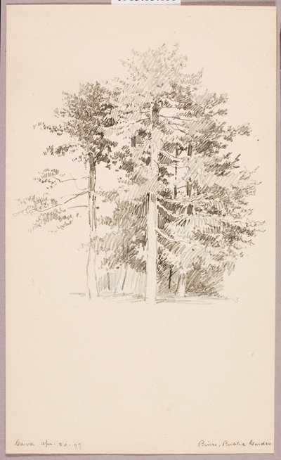 Pinos, Jardín público de George Elbert Burr