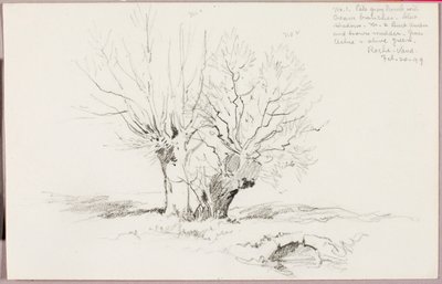 Roche Vaud de George Elbert Burr