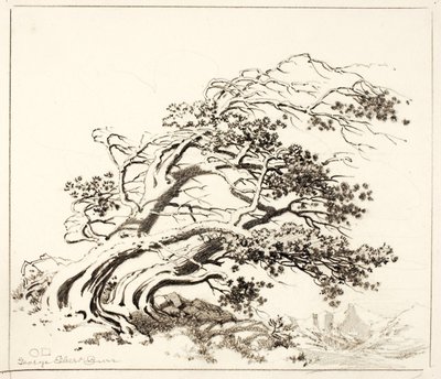 Boceto de Pinos al viento, Estes Park de George Elbert Burr
