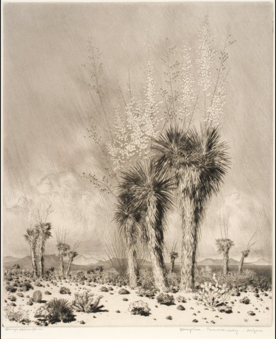  de George Elbert Burr