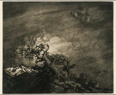 Tormenta cerca de Timberline de George Elbert Burr