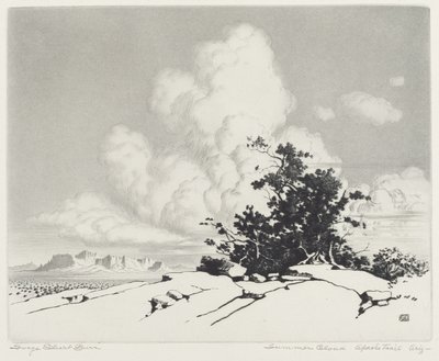Nube de verano, Apache Trail, Arizona de George Elbert Burr