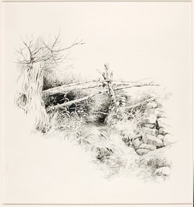 Sin título (Arroyo del bosque) de George Elbert Burr