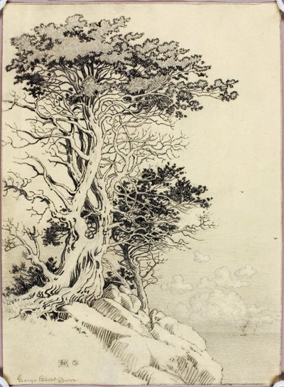 Sin título (dibujo para impresión) de George Elbert Burr
