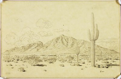 Sin título (dibujo de transferencia para Camelback Mountain, Phoenix) de George Elbert Burr