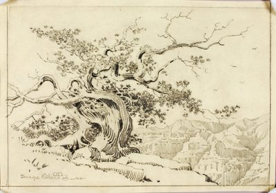 Sin título (dibujo de transferencia para Atardecer, Apache Trail, Arizona) de George Elbert Burr