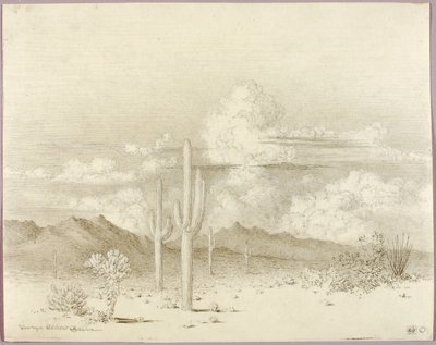 Sin título (dibujo de transferencia para Atardecer, Paradise Valley, Arizona) de George Elbert Burr