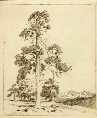 Sin título (dibujo de transferencia para impresión) de George Elbert Burr