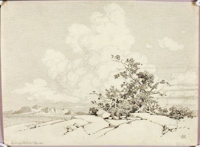 Sin título de George Elbert Burr