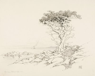 Sin título de George Elbert Burr