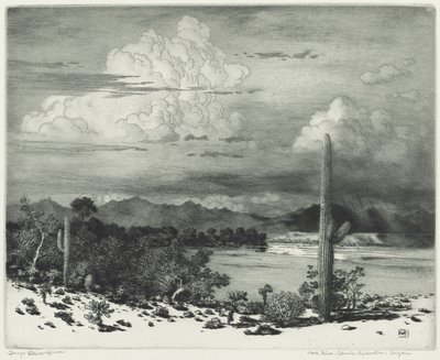 Río Verde, Reserva Apache, Arizona de George Elbert Burr