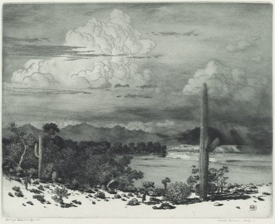 Río Verde, Arizona de George Elbert Burr