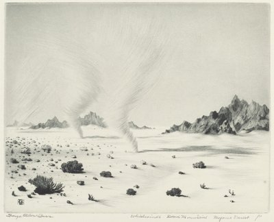 Torbellinos, montañas muertas, desierto de Mojave, California de George Elbert Burr