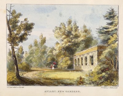 Aviario, Jardines de Kew, lámina 10 de Jardines de Kew: Una Serie de Veinticuatro Dibujos en Piedra, grabado por Charles Hullmandel (1789-1850) publicado 1820 de George Ernest after Papendiek