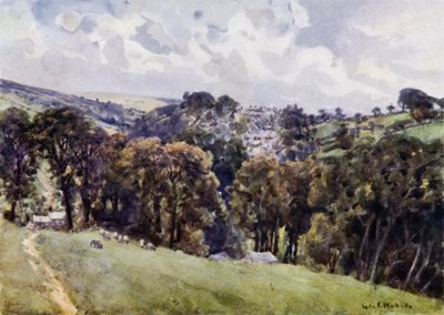 Camelford de George Franck Nicholls