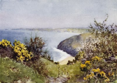 Bahía de Carbis de George Franck Nicholls