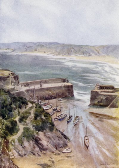 Newquay de George Franck Nicholls