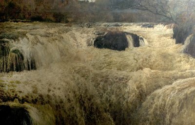 Salto del Salmón, Cascadas de Cenarth, Cardiganshire, Gales, 1878 de George Frank Miles