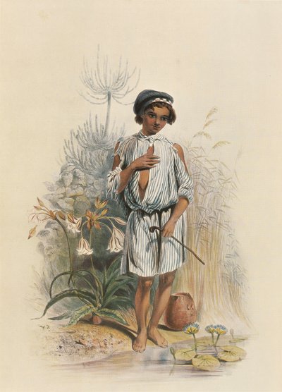 Charley, un niño mestizo de Natal de George French Angas