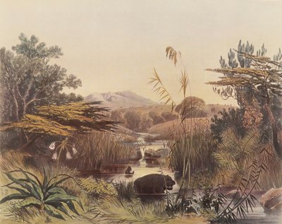 El río Umnonoti al atardecer de George French Angas