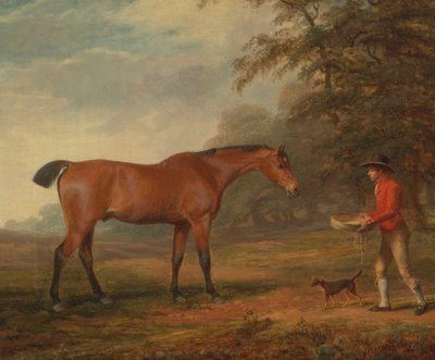 Un mozo de cuadra se acerca a un caballo bayo con comida y un ronzal de George Garrard