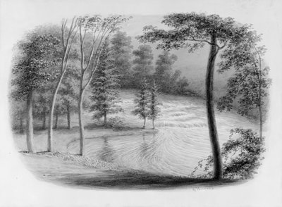 Un Arroyo del Álbum Hosack de George Harvey