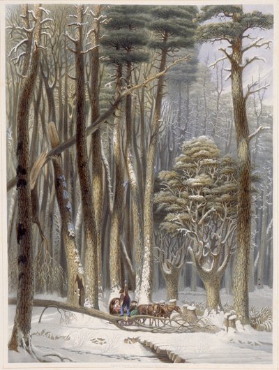 Invierno, viajeros impedidos en un bosque de pinos, de Escenas del bosque primitivo de América de Harvey, 1841 de George Harvey